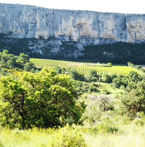 arts in provence paul thomas